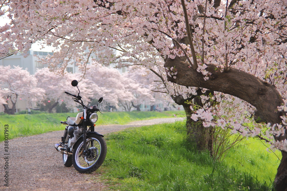 バイクの引き取り配送について